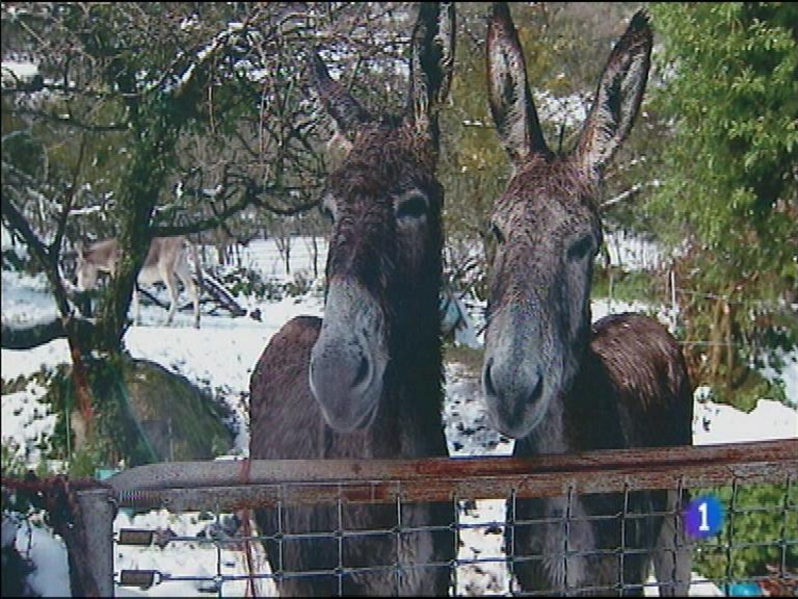 Panorama Regional - 05/06/14 | Ver