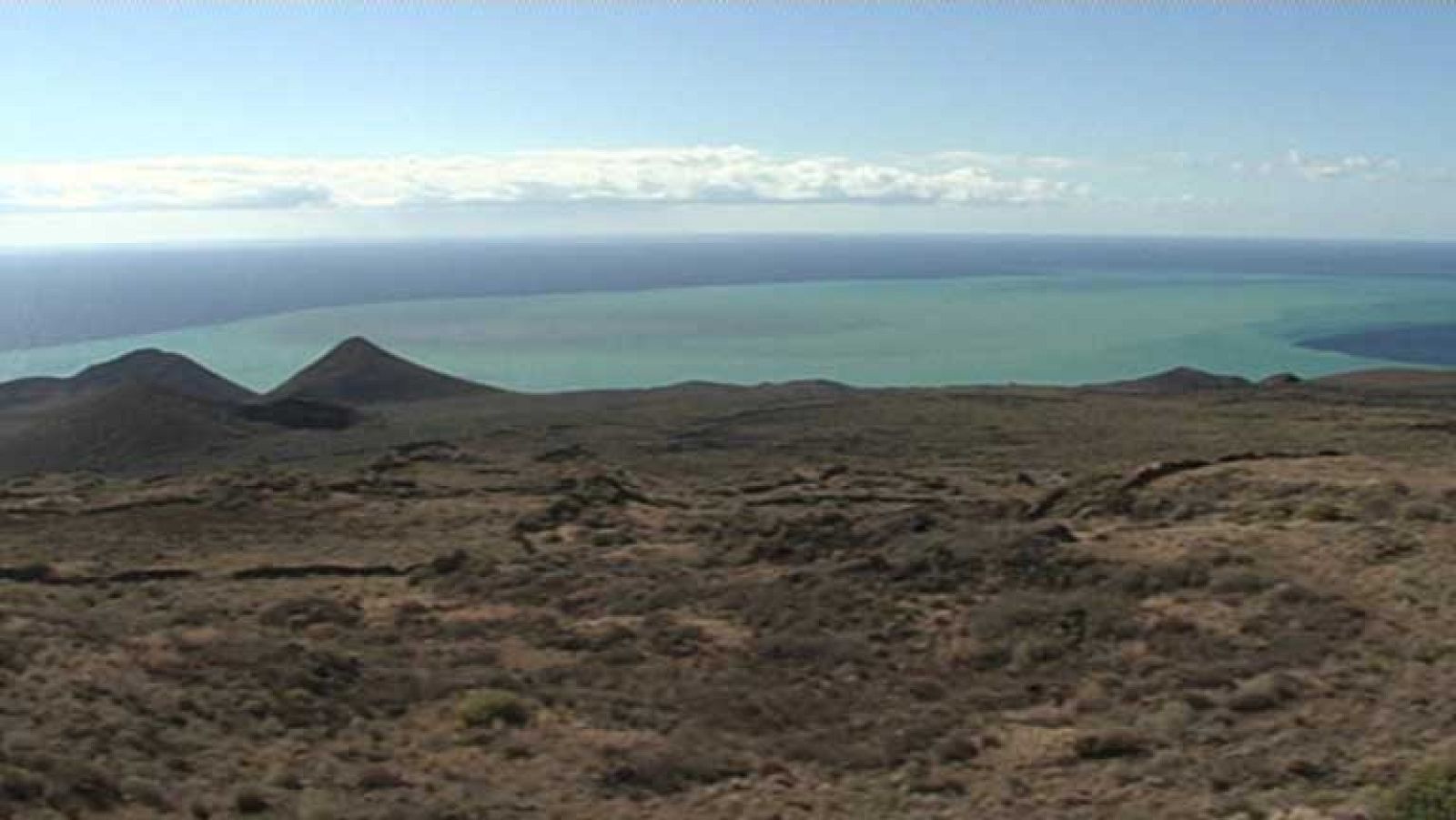 El Hierro recupera su ecosistema después de la erupción del volcán hace tres años