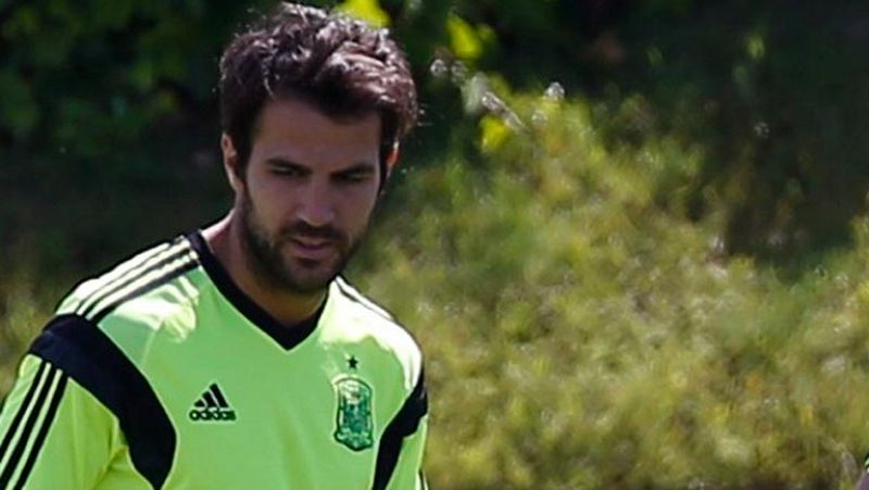 El barcelonismo, dividido por la marcha de Cesc Fàbregas