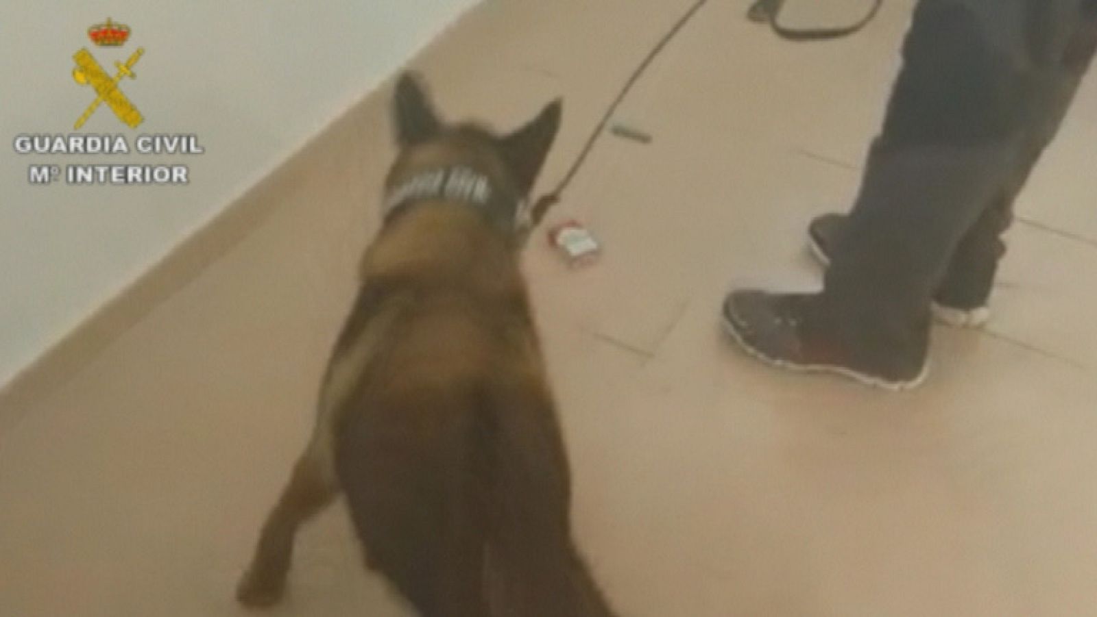 La Comunidad de Madrid en 4' - 06/06/14