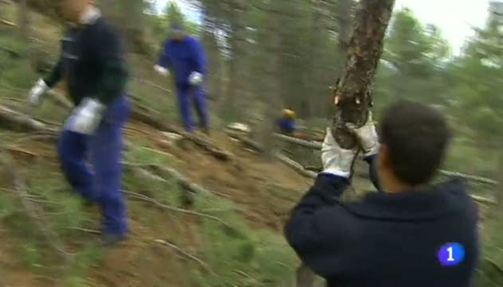 Noticias Aragón - 06/06/14 | Ver