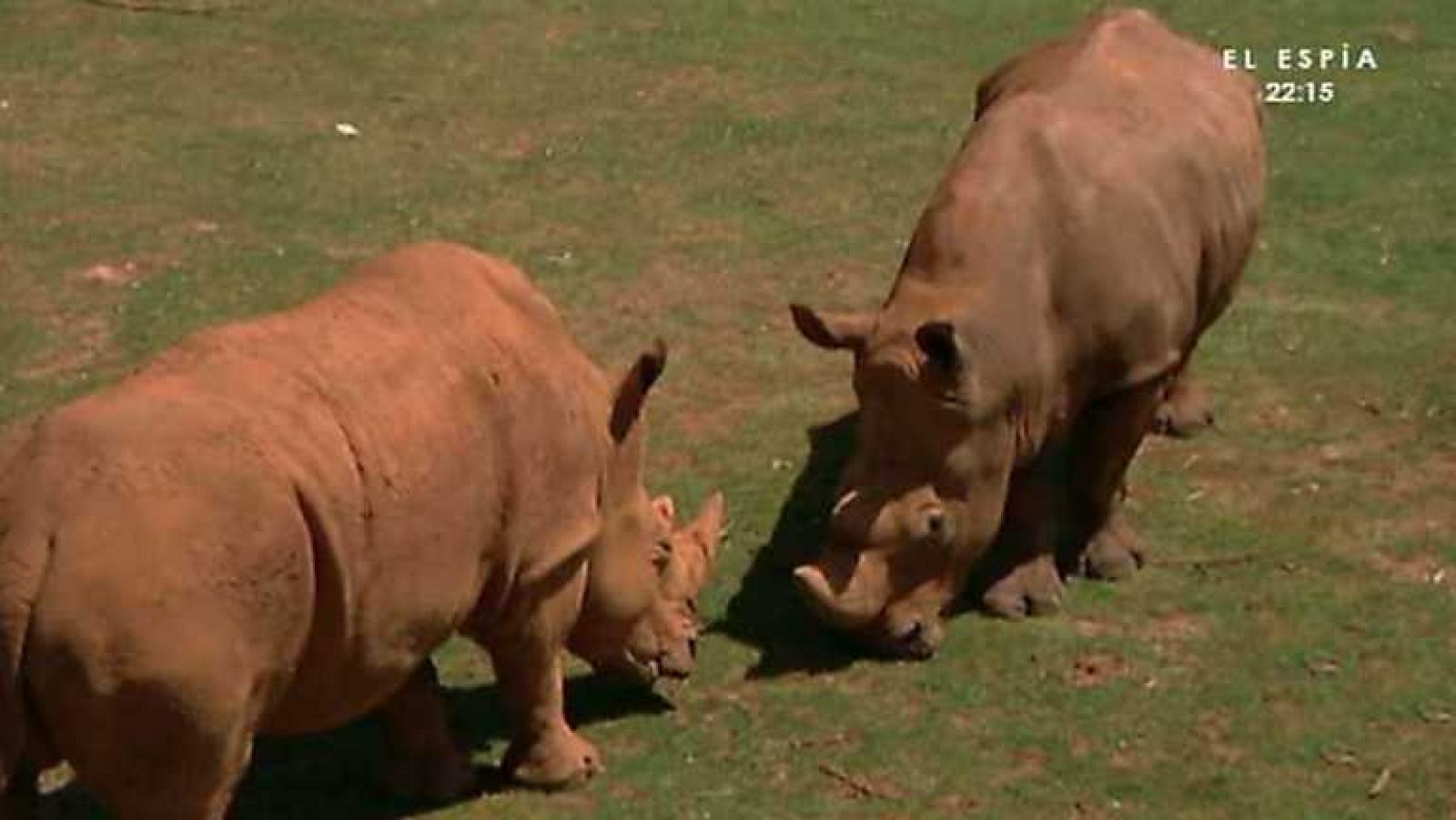 Aquí la Tierra - 06/06/14 - ver ahora