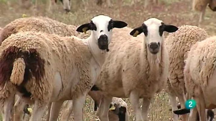 Agrosfera - Agrosfera - 07/06/14