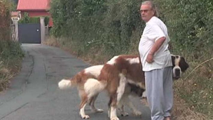 La mañana - Perros peligrosos