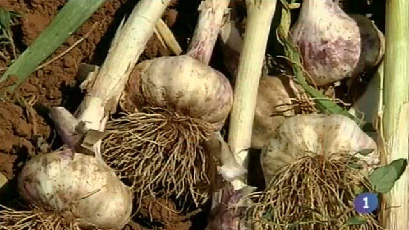 Castilla-La Mancha en 2' - 09/06/14 | Ver