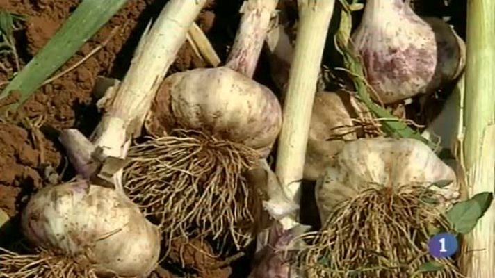 Noticias de Castilla-La Mancha - Castilla-La Mancha en 2' - 09/06/14