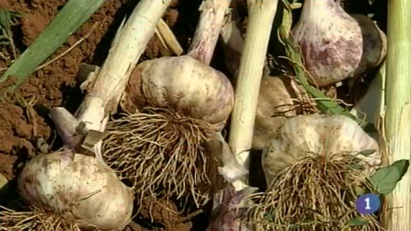 Castilla-La Mancha en 2' - 09/06/14 | Ver