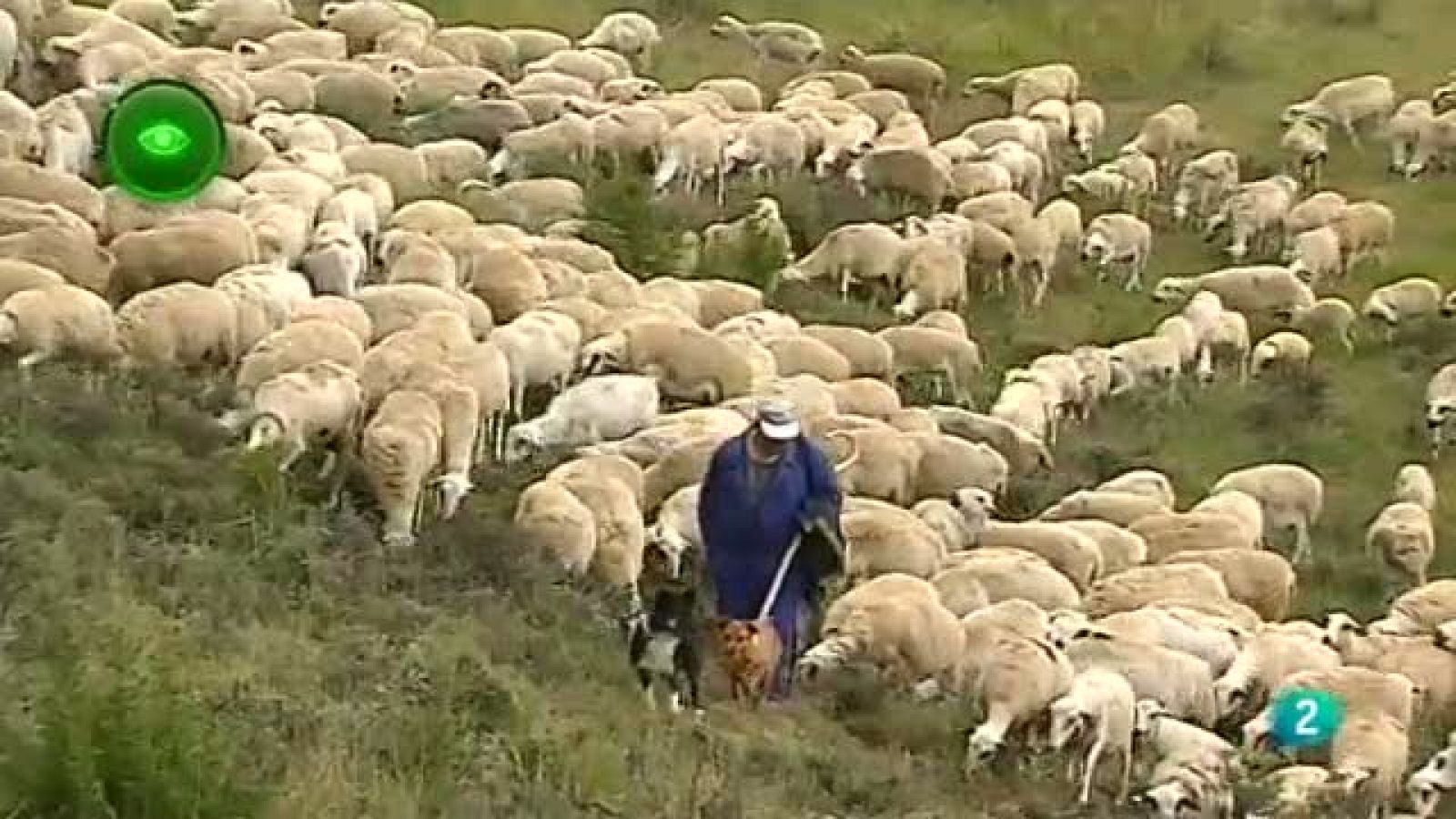 Agrosfera - En primer plano - Premio Biodiversidad