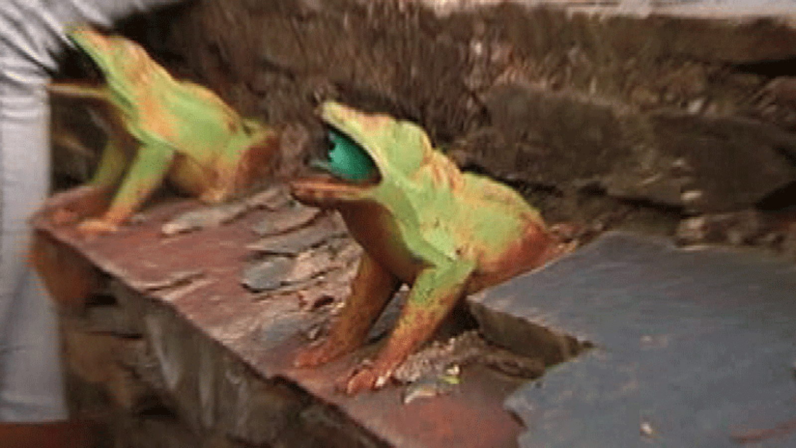 España Directo- Campillo de Ranas  (Guadalajara)