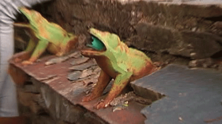 España Directo - Campillo de Ranas  (Guadalajara)