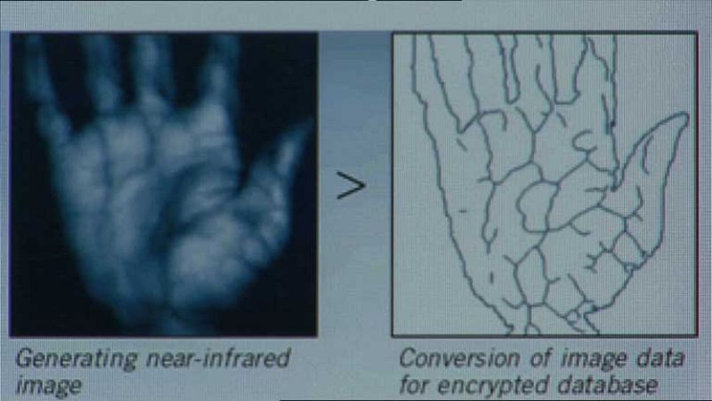 El mapa de las venas de la mano