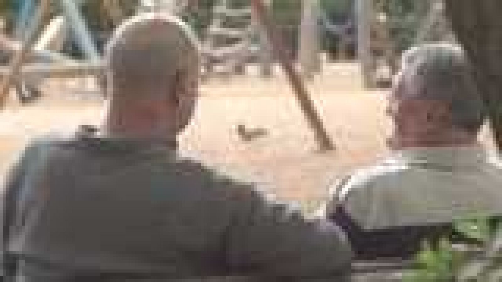 La aventura del saber - 11/06/14 - ver ahora