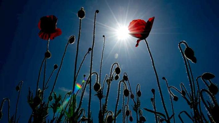 Informativo de Madrid - El tiempo en la Comunidad de Madrid - 11/06/14