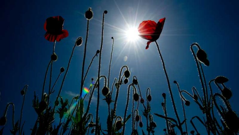 Tormentas en el norte peninsular y ascenso térmico en casi toda España