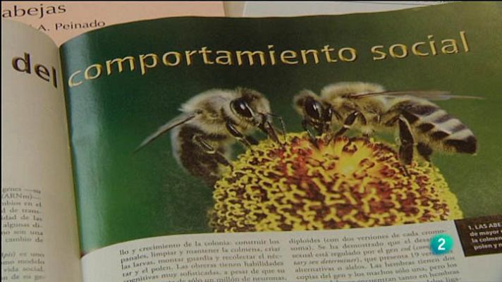 Para todos La 2 - Epigenética