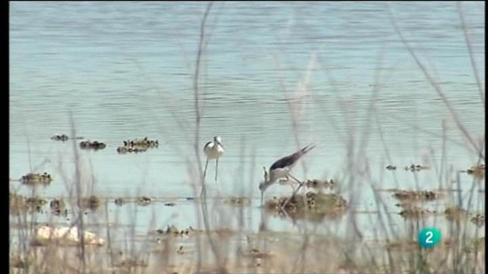 Para todos La 2 - Humedales de la Mancha