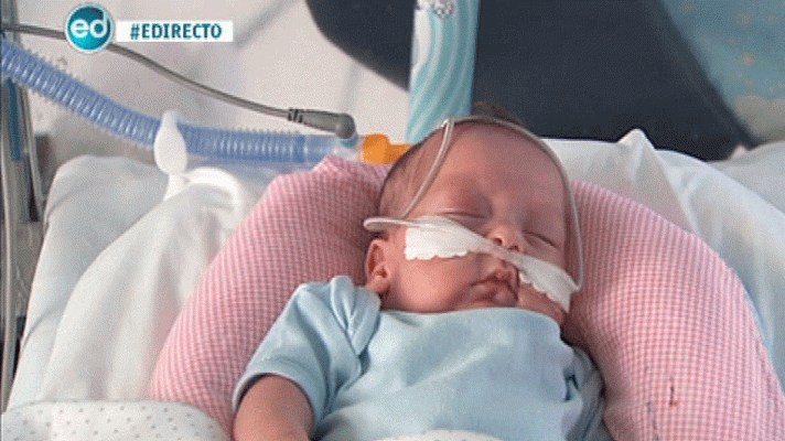 España Directo - Luchadores desde el primer minuto de vida