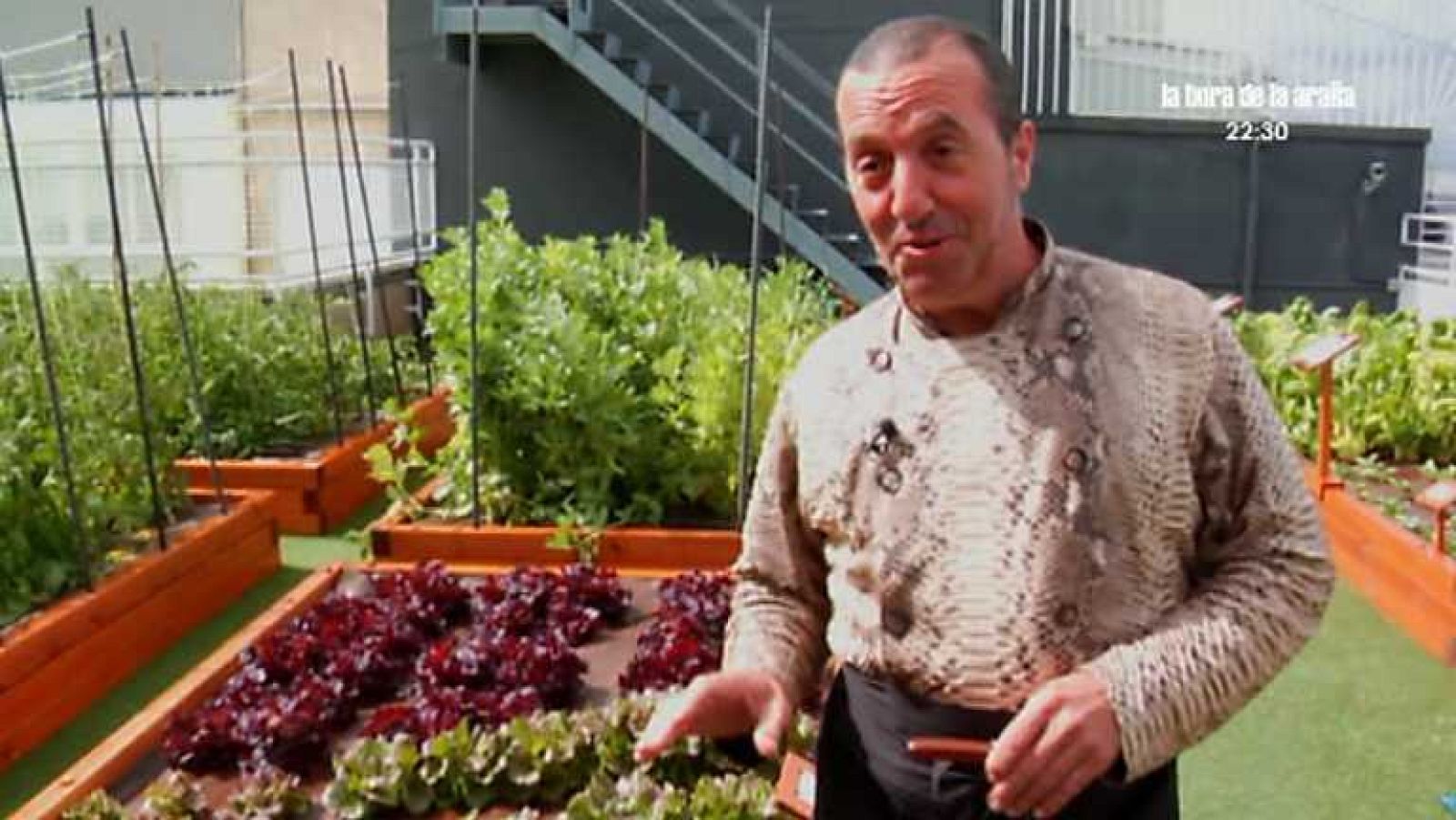 Aquí la Tierra - 12/06/14 - ver ahora