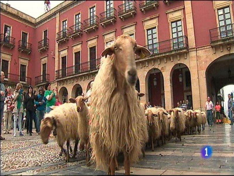 Panorama Regional 2 - 13/06/14 | Ver