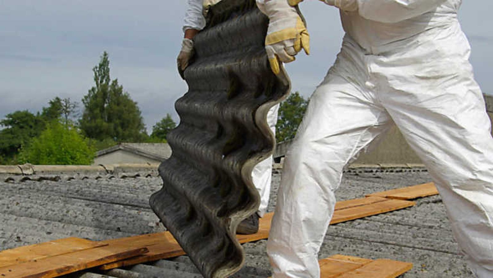 El escarabajo verde - Salir del amianto - ver ahora