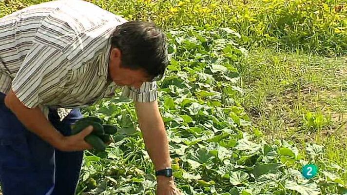 Agrosfera - Agrosfera - 14/06/14