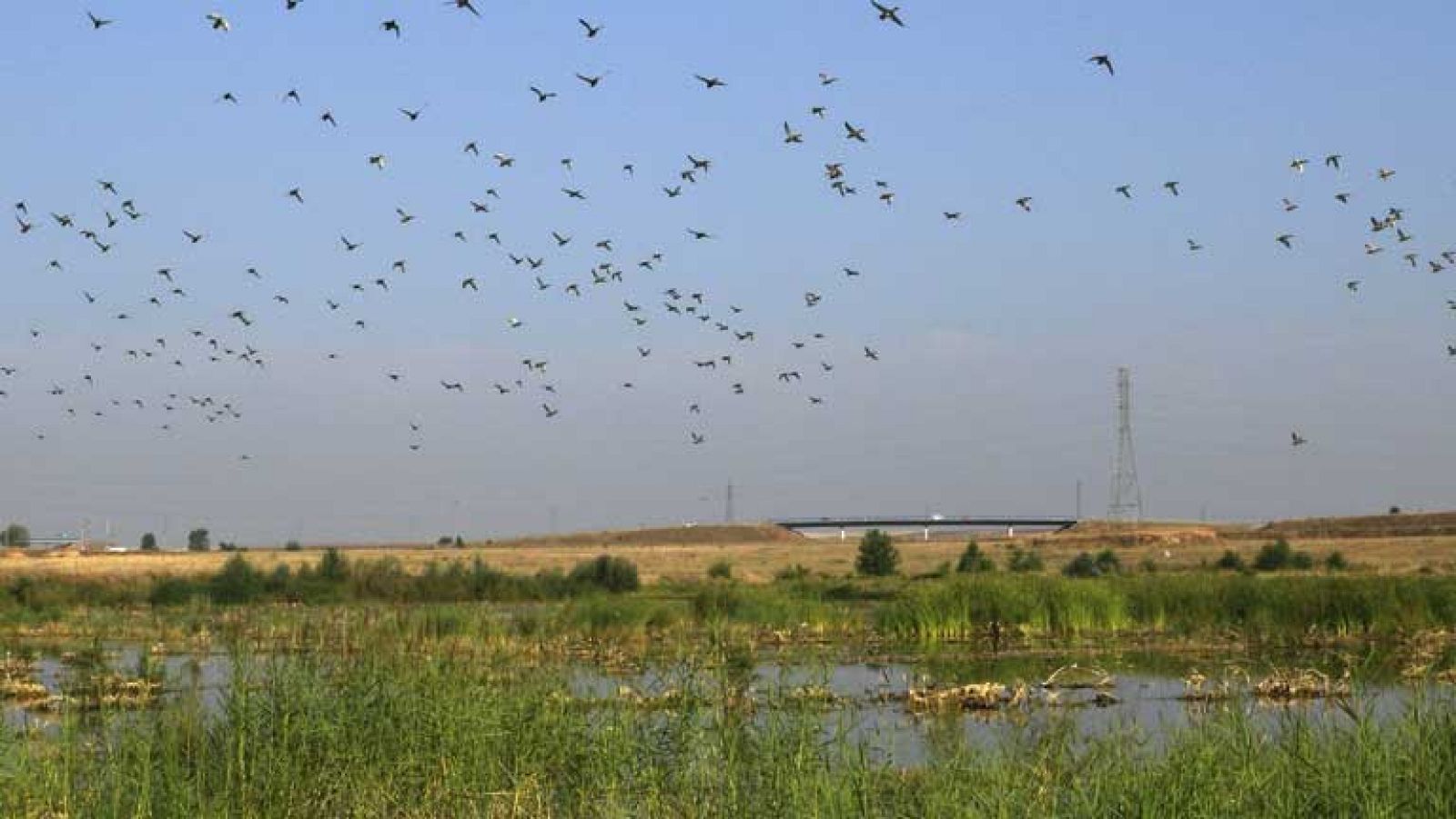 Chubascos en Cataluña y temperaturas altas en el suroeste peninsular