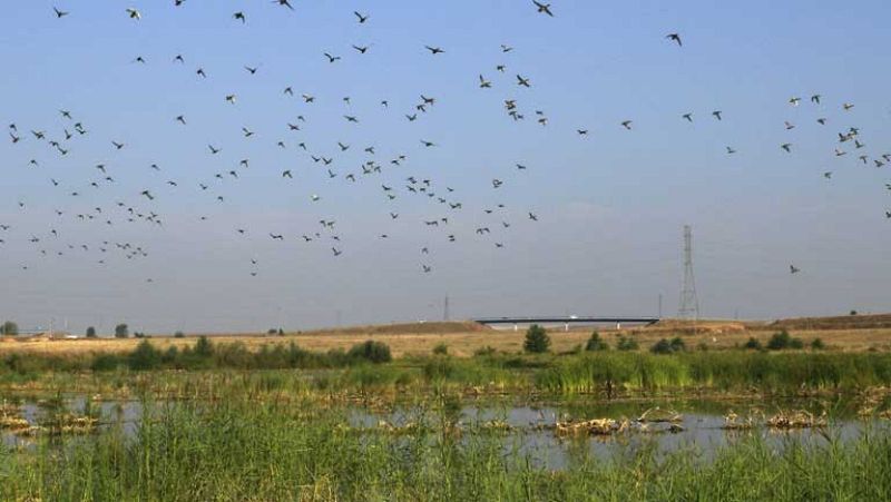 Chubascos en Cataluña y temperaturas altas en el suroeste peninsular
