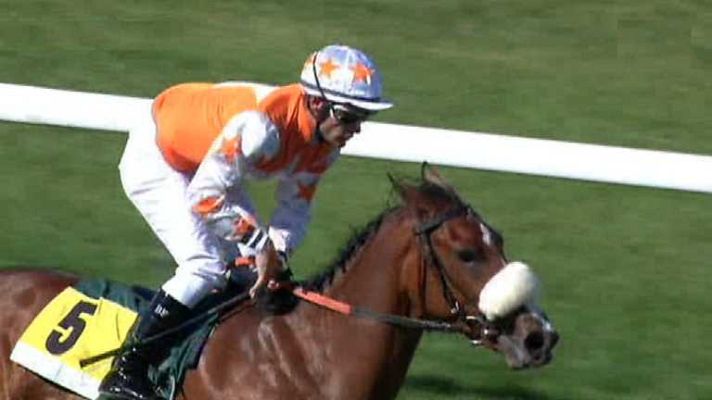 Turf - Turf - 15/06/14