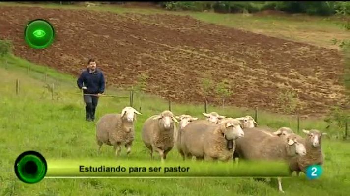 Agrosfera - Ganadería FP