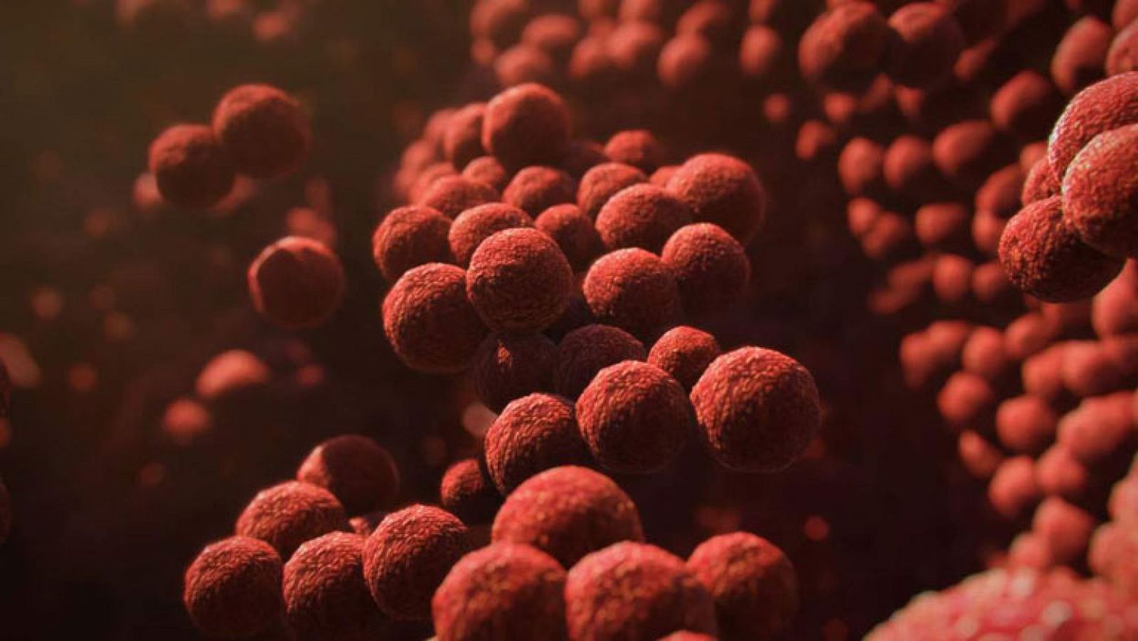 La vida en nosotros - Promo - Documenta2 | Ver