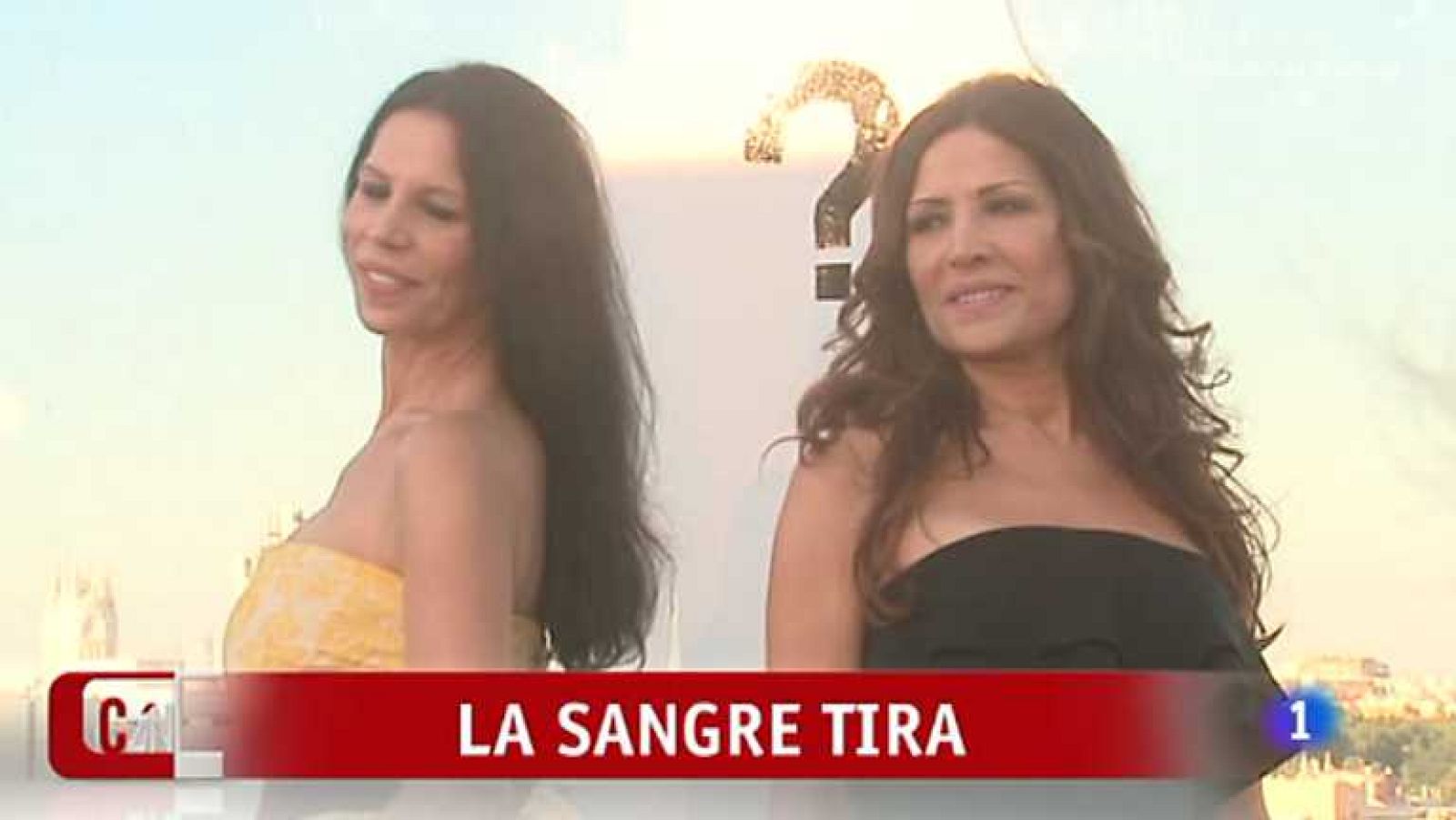 Corazón - 17/06/14 - Ver ahora