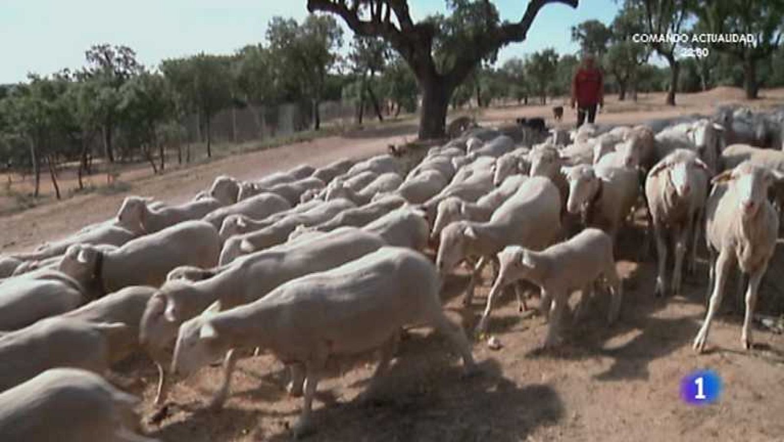 Aquí la Tierra - 17/06/14 - ver ahora