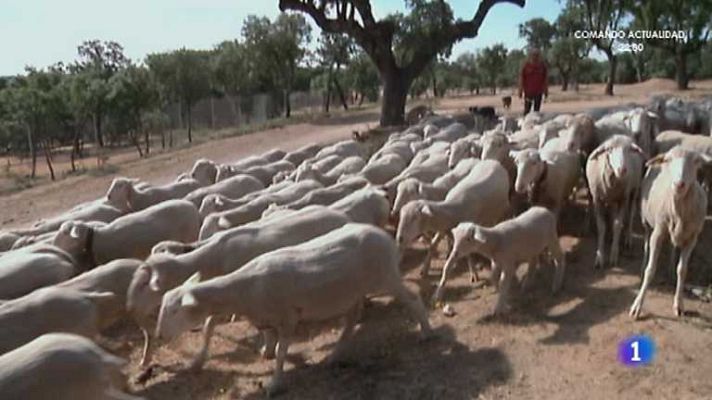 Aquí la Tierra - Aquí la Tierra - 17/06/14