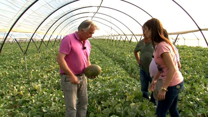 Comando Actualidad - Las deseadas frutas de temporada