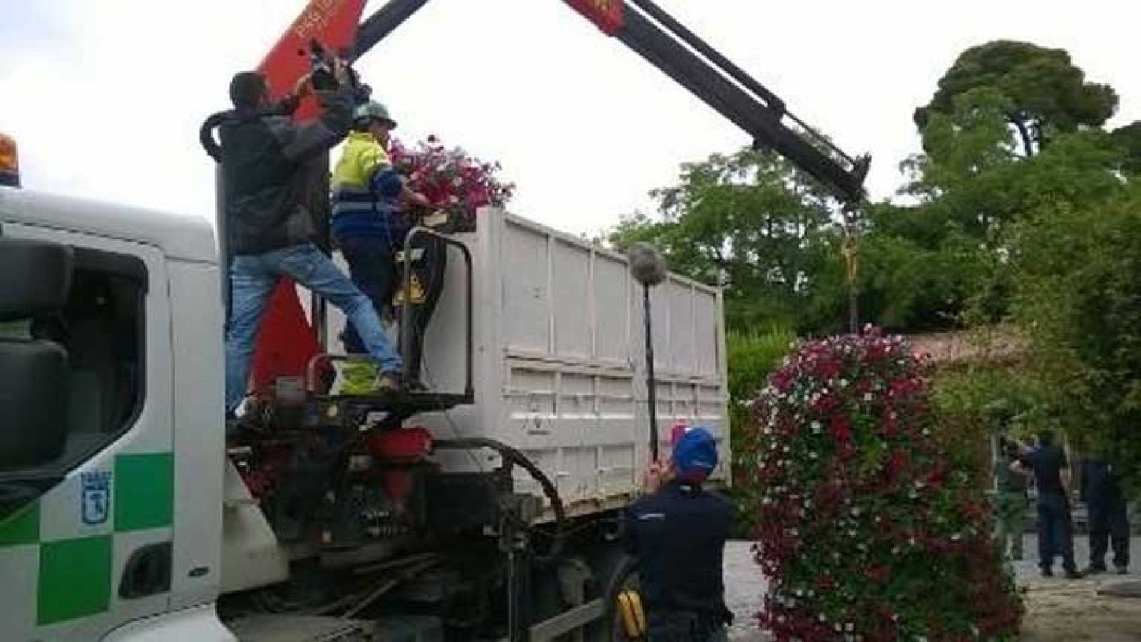 ¿De dónde vienen las flores de las ciudades?