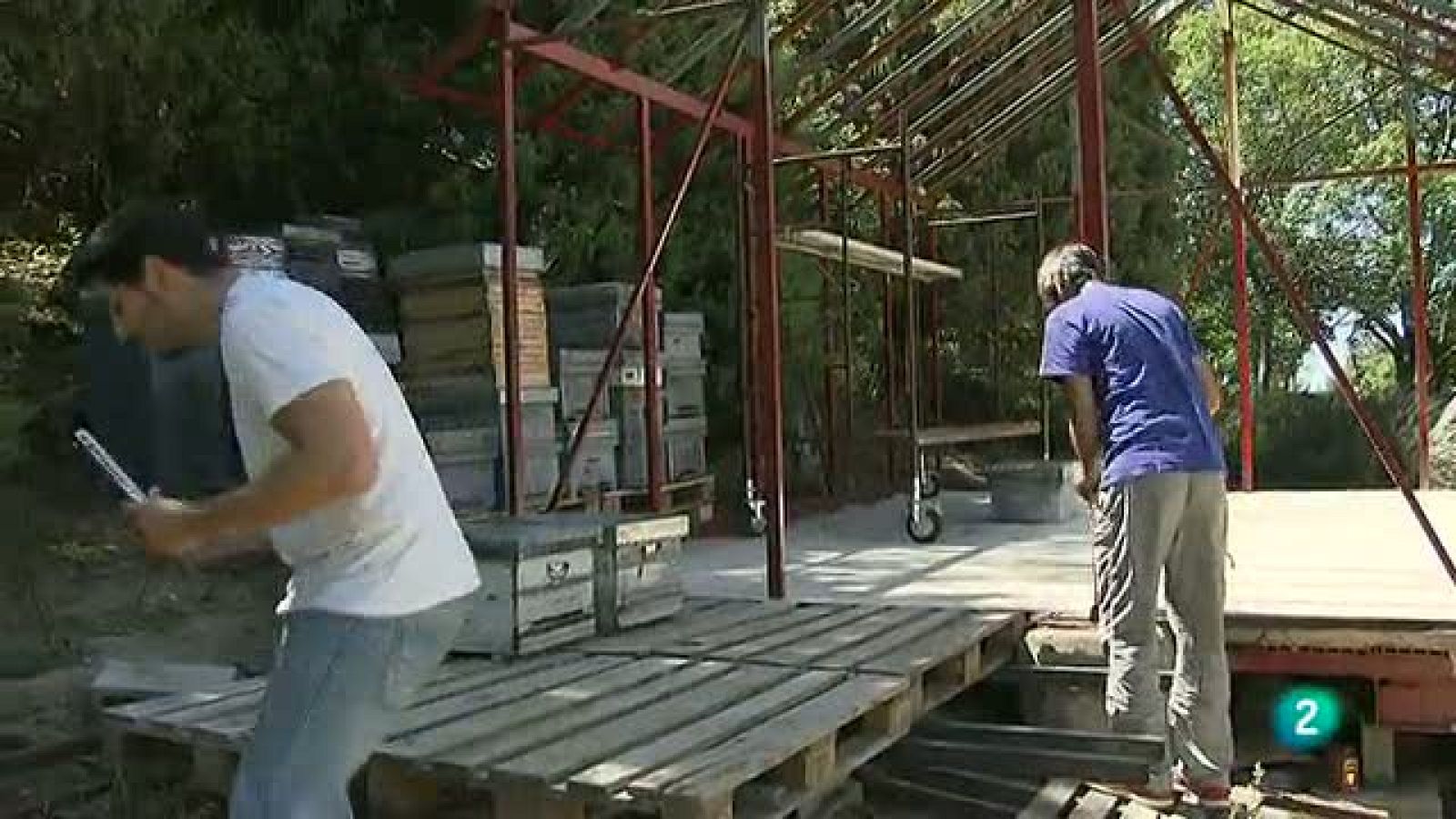 Abejas: obreras y creadoras de empleo - Aquí hay trabajo | Ver