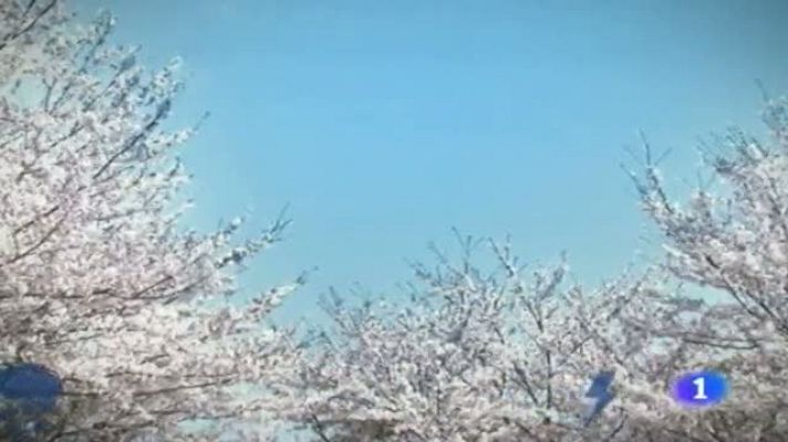 Noticias Murcia - El tiempo en la Región de Murcia - 20/06/2014