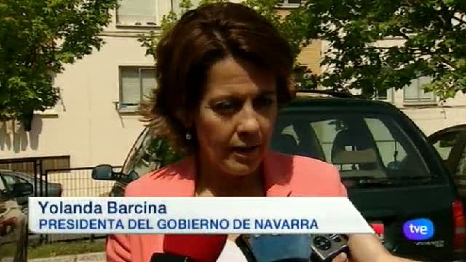 Telenavarra - 20/06/2014 | Ver