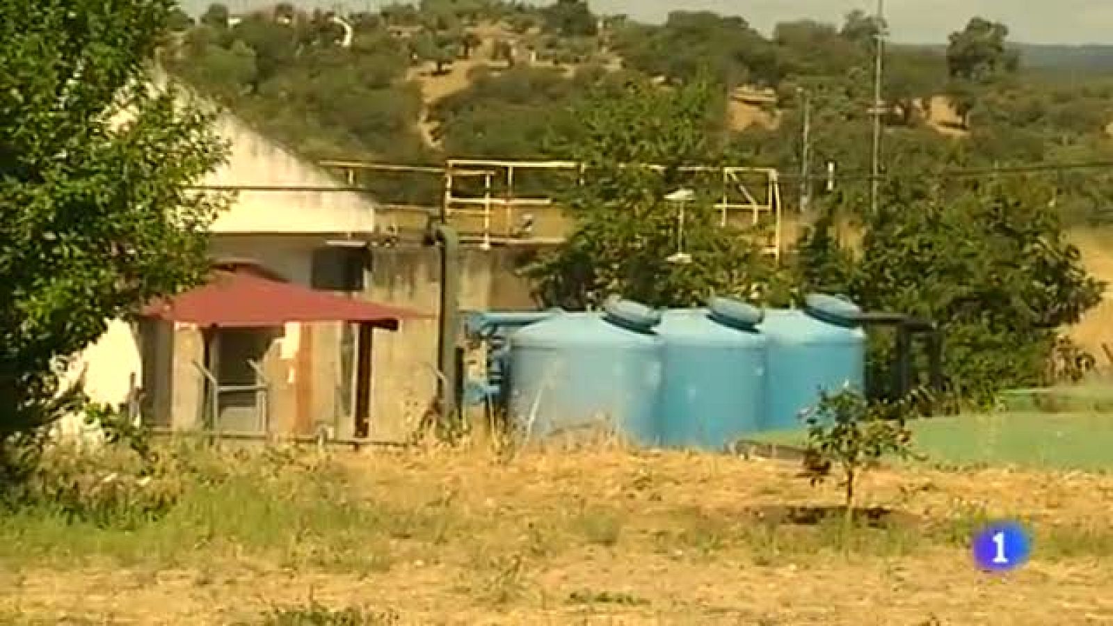 Noticias andalucía - 20/06/14 | Ver