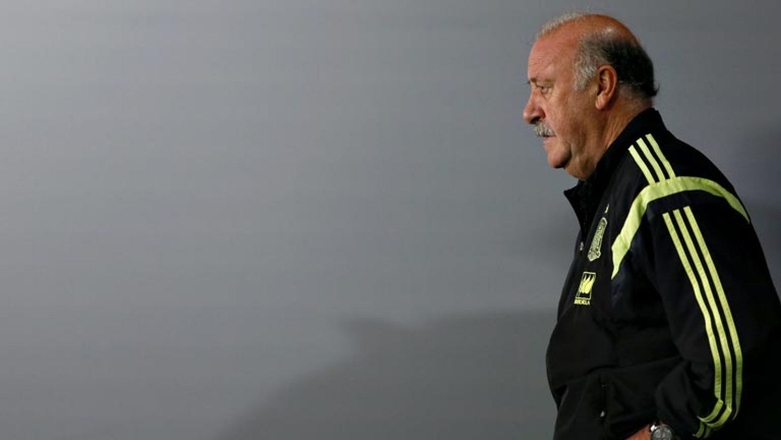 Vicente del Bosque, seleccionador español, dejó entrever la posibilidad de marcharse al asegurar que lo hará si es "un estorbo", pero también dejó la puerta abierta a su continuidad, al admitir que seguirá si recibe el apoyo necesario de la Real Fede