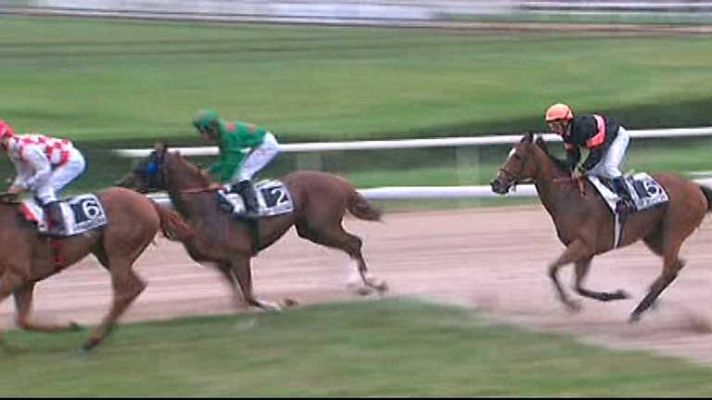 Turf - Turf - 20/06/14