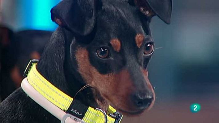 Para todos La 2 - Para todos La 2 - 23/06/14