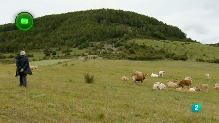 Agrosfera - Lumbier (Navarra)