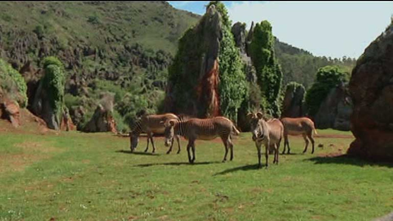 Cabárceno, el hogar de animales extraordinarios