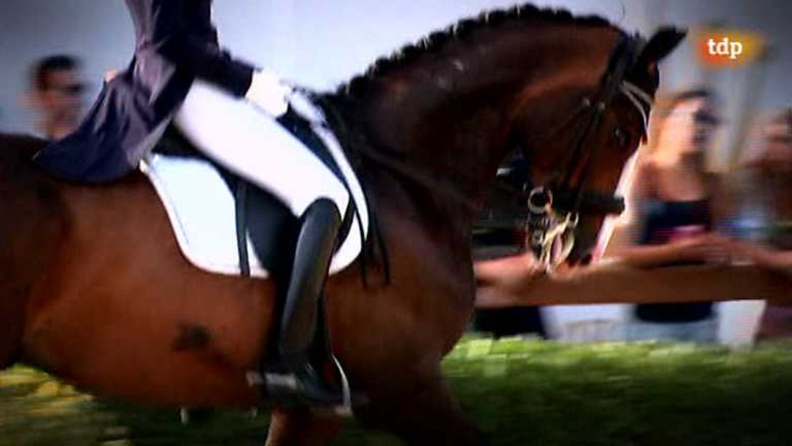 Objetivo Río - Programa 46 - Hípica: Doma - ver ahora