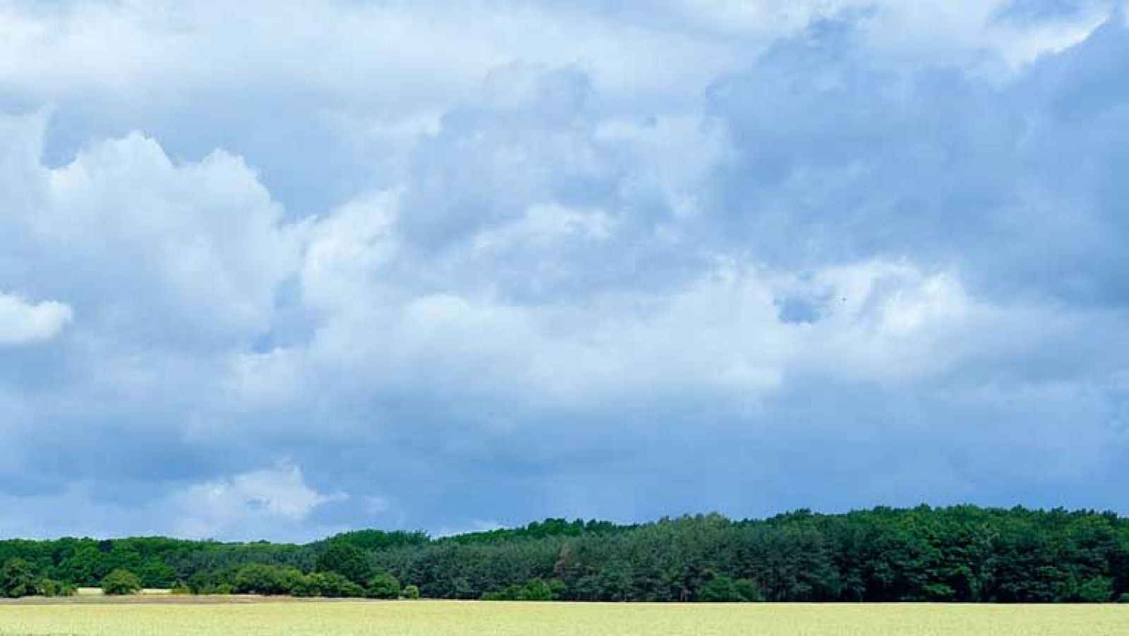 El Tiempo en la Comunidad de Madrid - 26/06/14