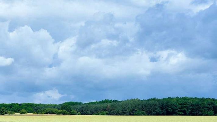 Informativo de Madrid - El Tiempo en la Comunidad de Madrid - 26/06/14