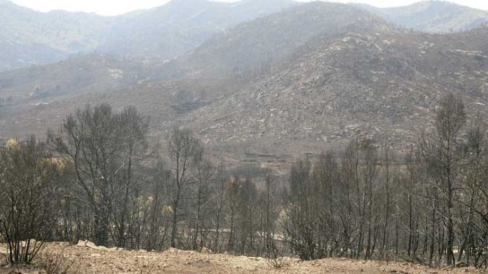 Telediario 1 - La desertización favorece la propagación de los incendios