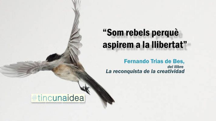 Tinc una idea - Fernando Trias de Bes