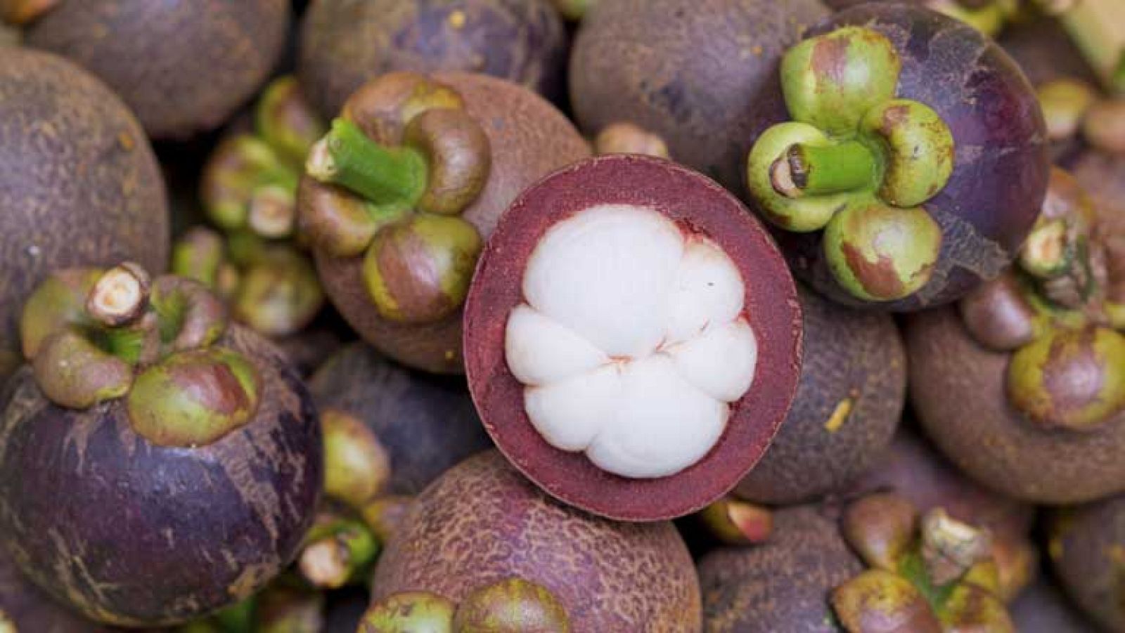 ¡Disfruta de la fruta tropical!